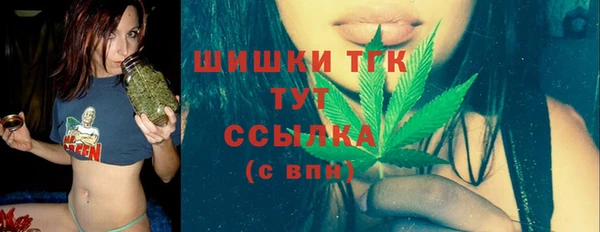 индика Белоозёрский