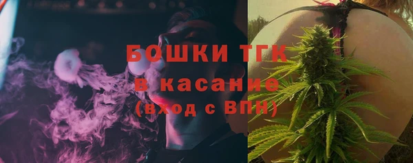 индика Белоозёрский