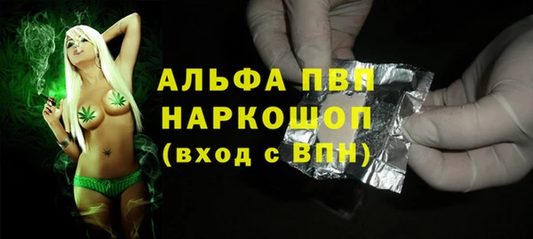 индика Белоозёрский