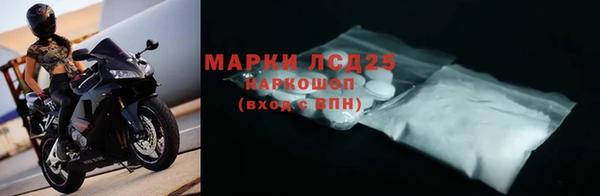 ГАЛЛЮЦИНОГЕННЫЕ ГРИБЫ Богданович