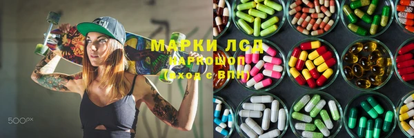 ГАЛЛЮЦИНОГЕННЫЕ ГРИБЫ Богданович