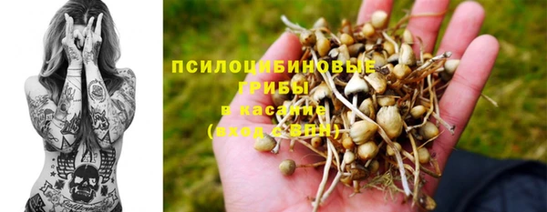 Альфа ПВП Белокуриха