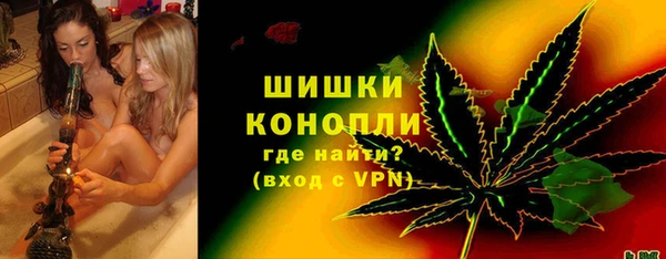 прущие грибы Богородицк