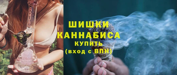 Альфа ПВП Белокуриха
