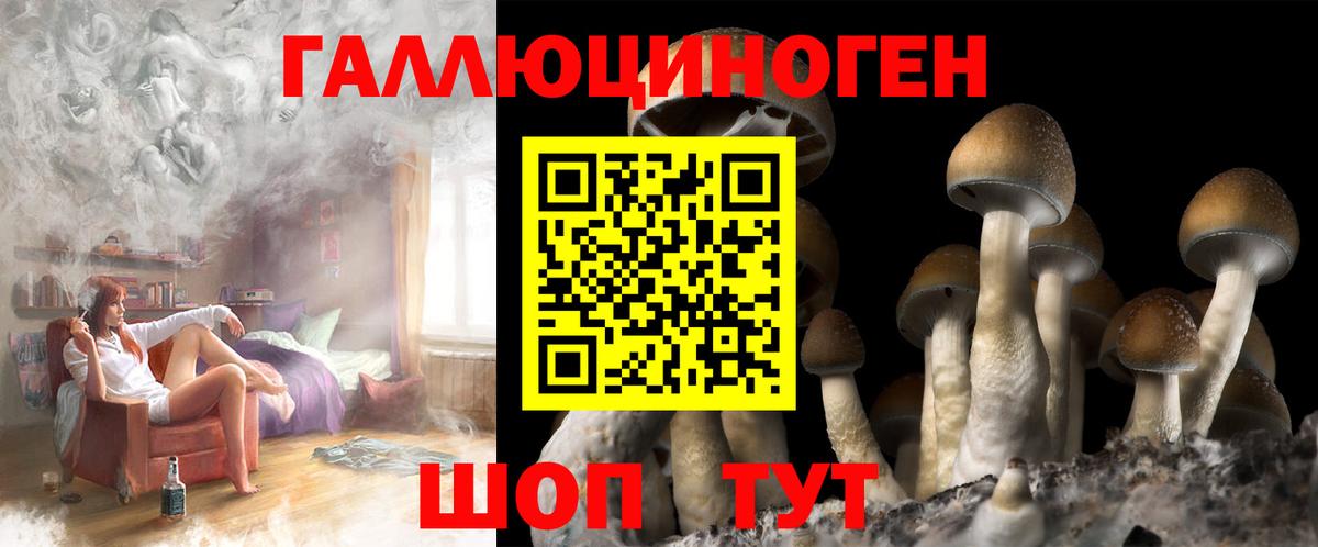 Галлюциногенные грибы мицелий  Вход с VPN  Армавир  Псилоцибиновые грибы Psilocybe 