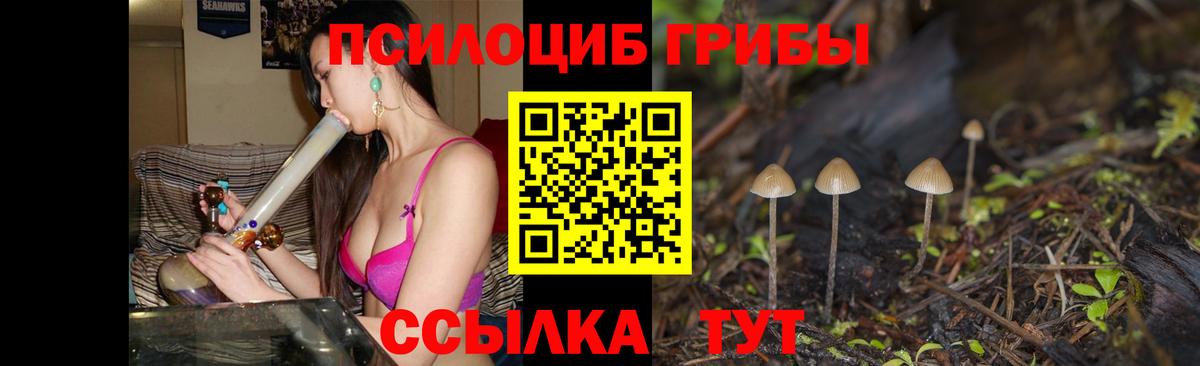 Галлюциногенные грибы мицелий Армавир