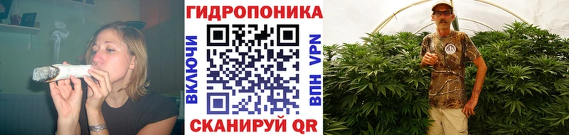 Каннабис OG Kush  Армавир 